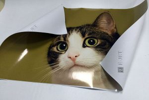Sample printing print from 1.6m eco solvent printer